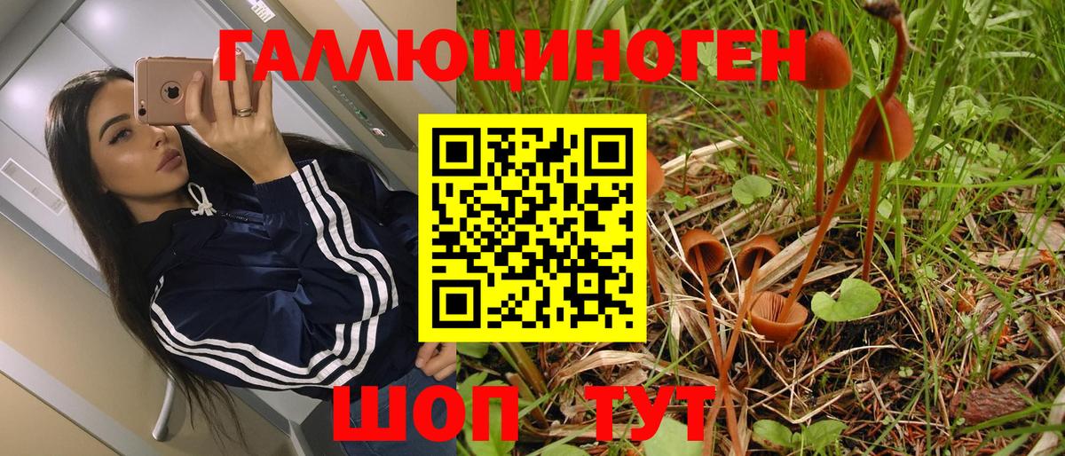 Калач-на-Дону  Псилоцибиновые грибы ЛСД  где купить наркоту  Вход с VPN 