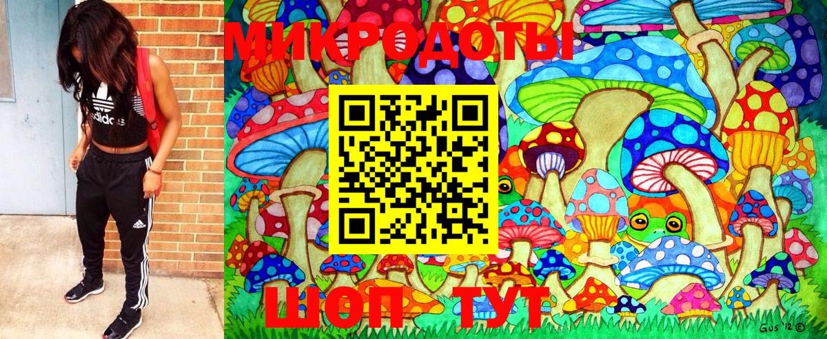 Псилоцибиновые грибы прущие грибы Калач-на-Дону
